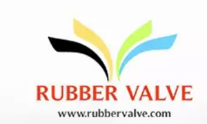 Best 10 Silicone Valves Manufacturer in China