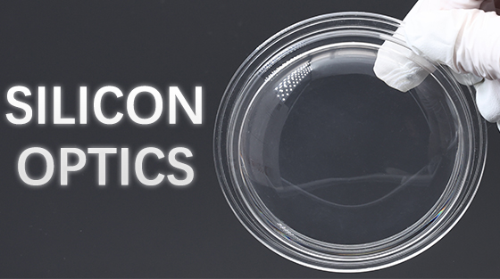 Case Study- Silicon Optics