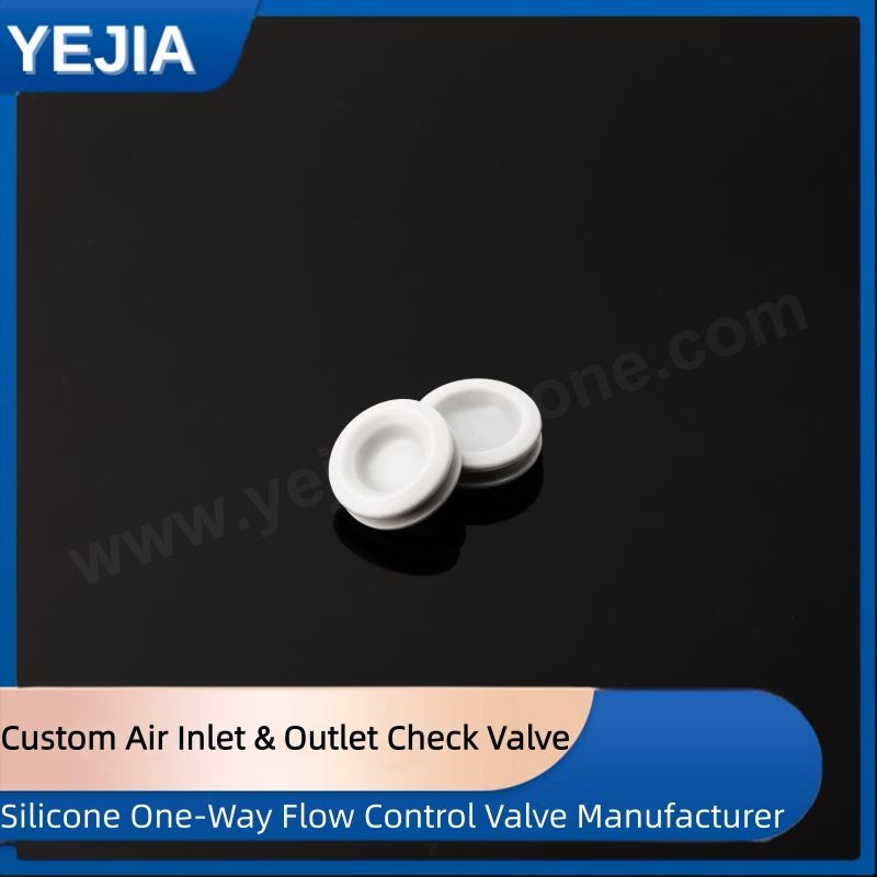 Custom Air Inlet and Outlet Check Valve