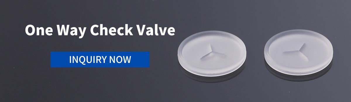 One Way Check Valve