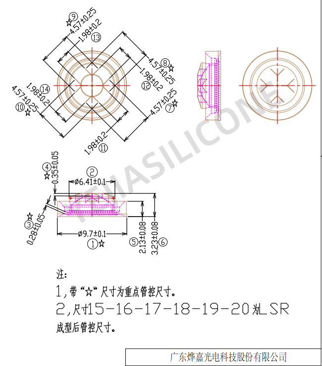 Snowflake Silicon Valve